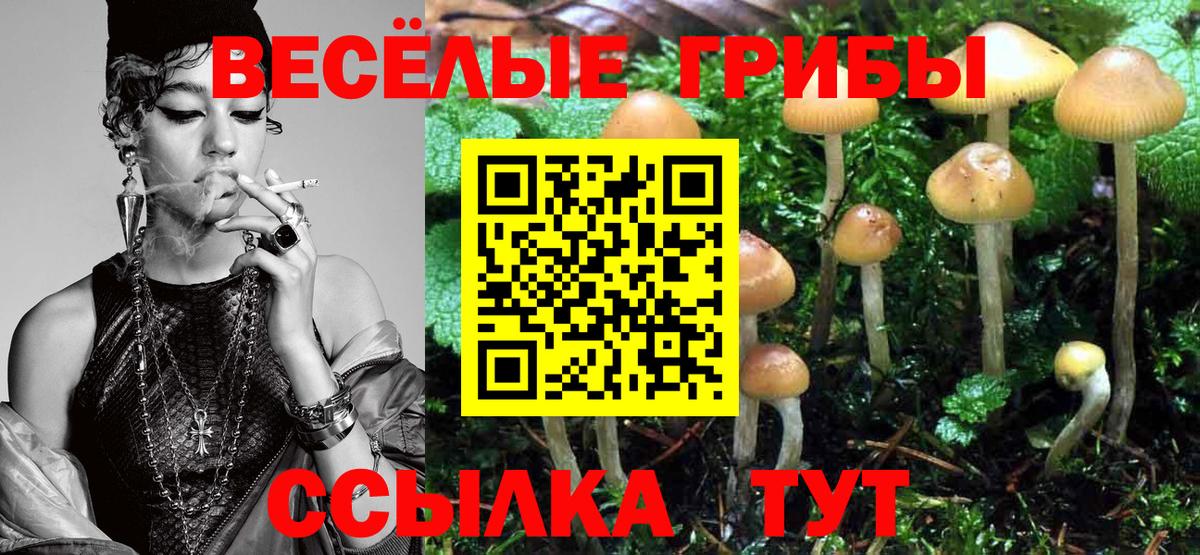 Псилоцибиновые грибы Magic Shrooms Верхняя Пышма