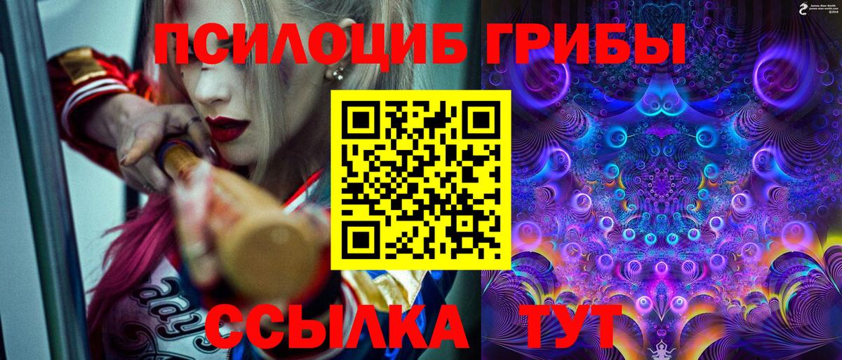 Псилоцибиновые грибы мицелий  Вход с VPN  Верхняя Пышма 